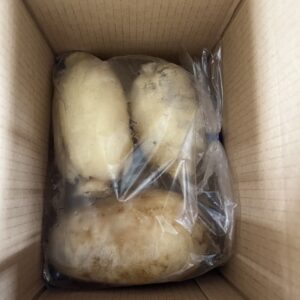 レンコン　1kg