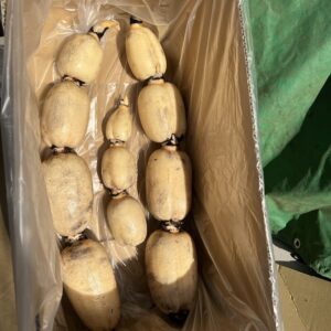 レンコン　4kg